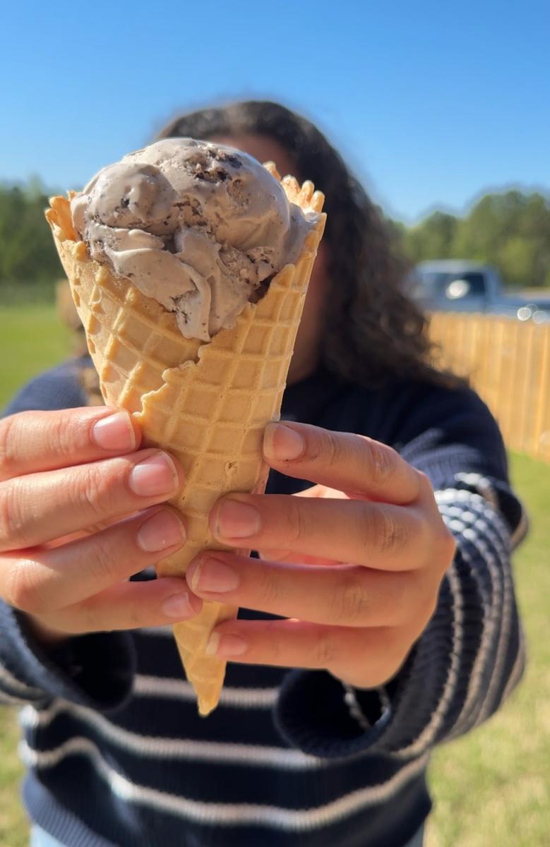 Reeves Peach Farm ice cream cone