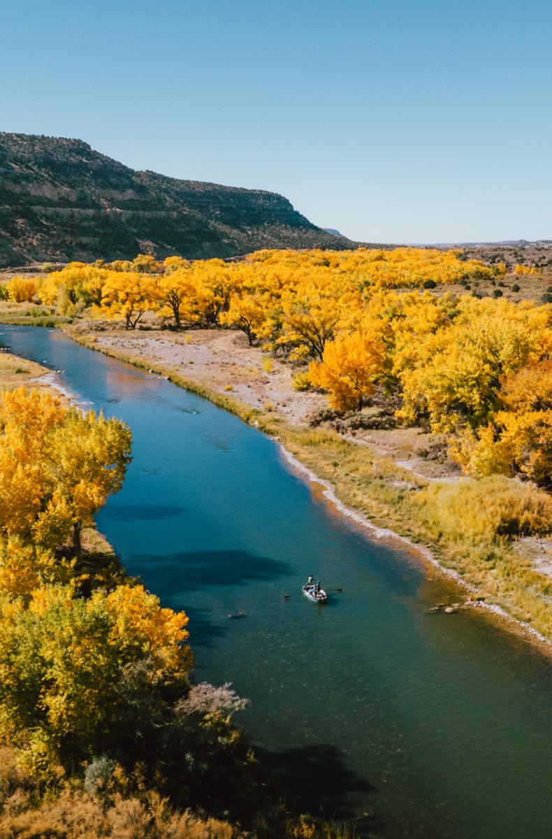 Aerial view of the Rio San Juan winding through a vibrant autumn landscape with trees in brilliant yellow hues. Two people are fishing from a small boat on the river.