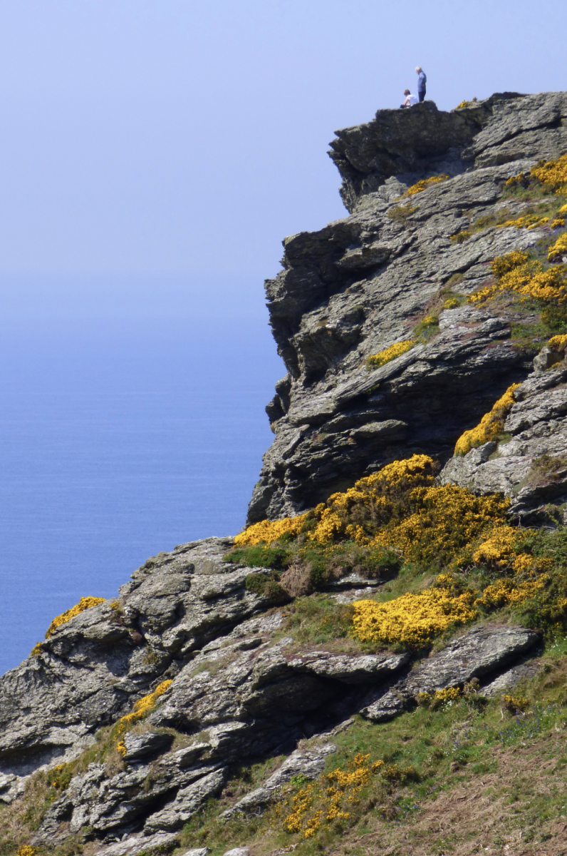 Two people stand atop a rocky cliff covered in yellow flowers, overlooking a calm, expansive blue sea under a clear sky, creating a tranquil scene.