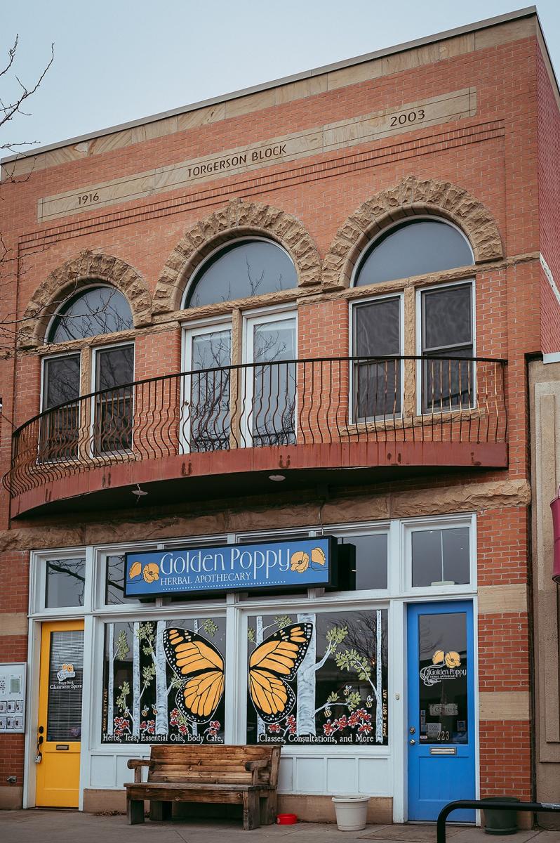 A storefront with a butterfly in the window of an old brick building