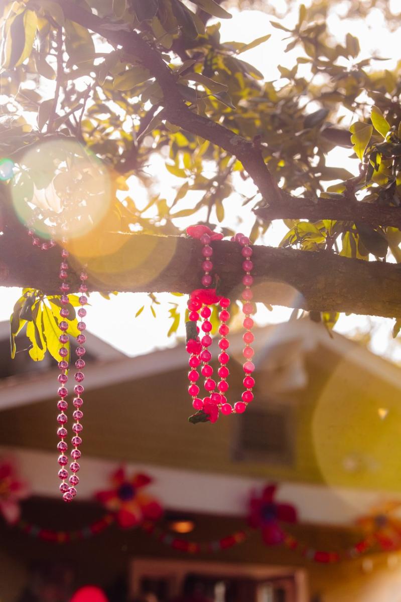 Mardi Gras throws