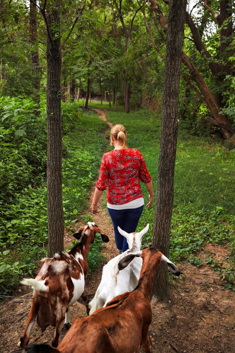 Providence Hill Farm Goats
