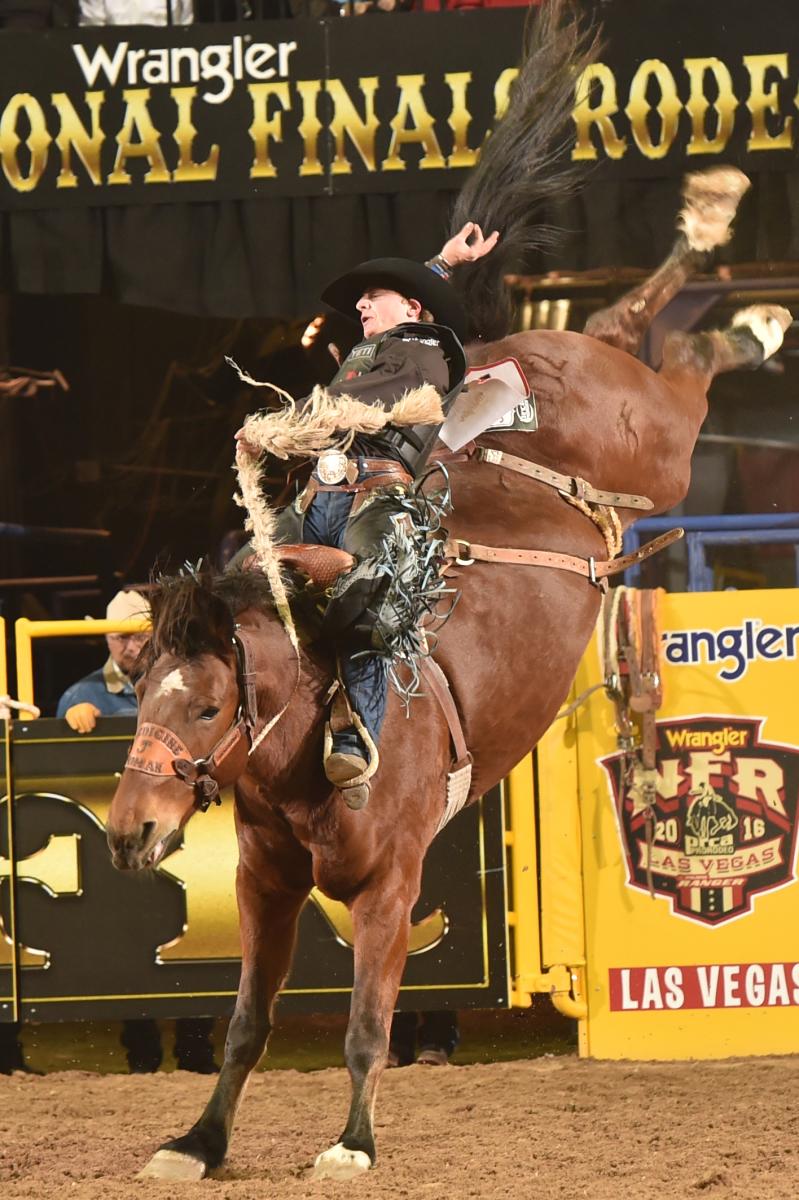 Mid-Winter Fair Rodeo