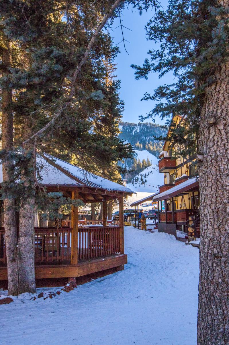 View of a snow-covered path leading between tall pine trees towards a cozy lodge with a lit gazebo, set against a backdrop of a snowy mountain slope.