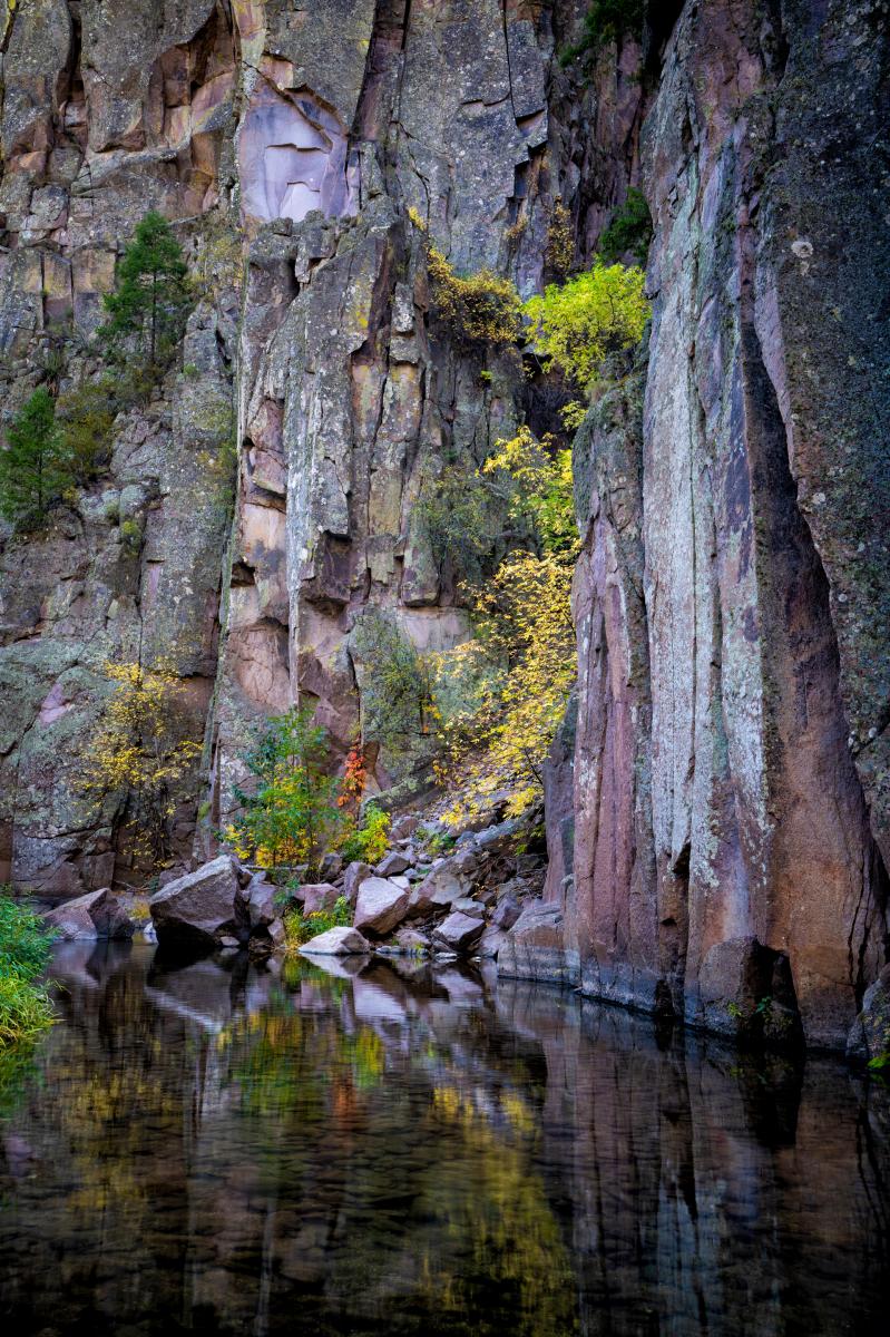 Sheer canyon walls along the Gila River provide a canvas for colorful leafy surprises