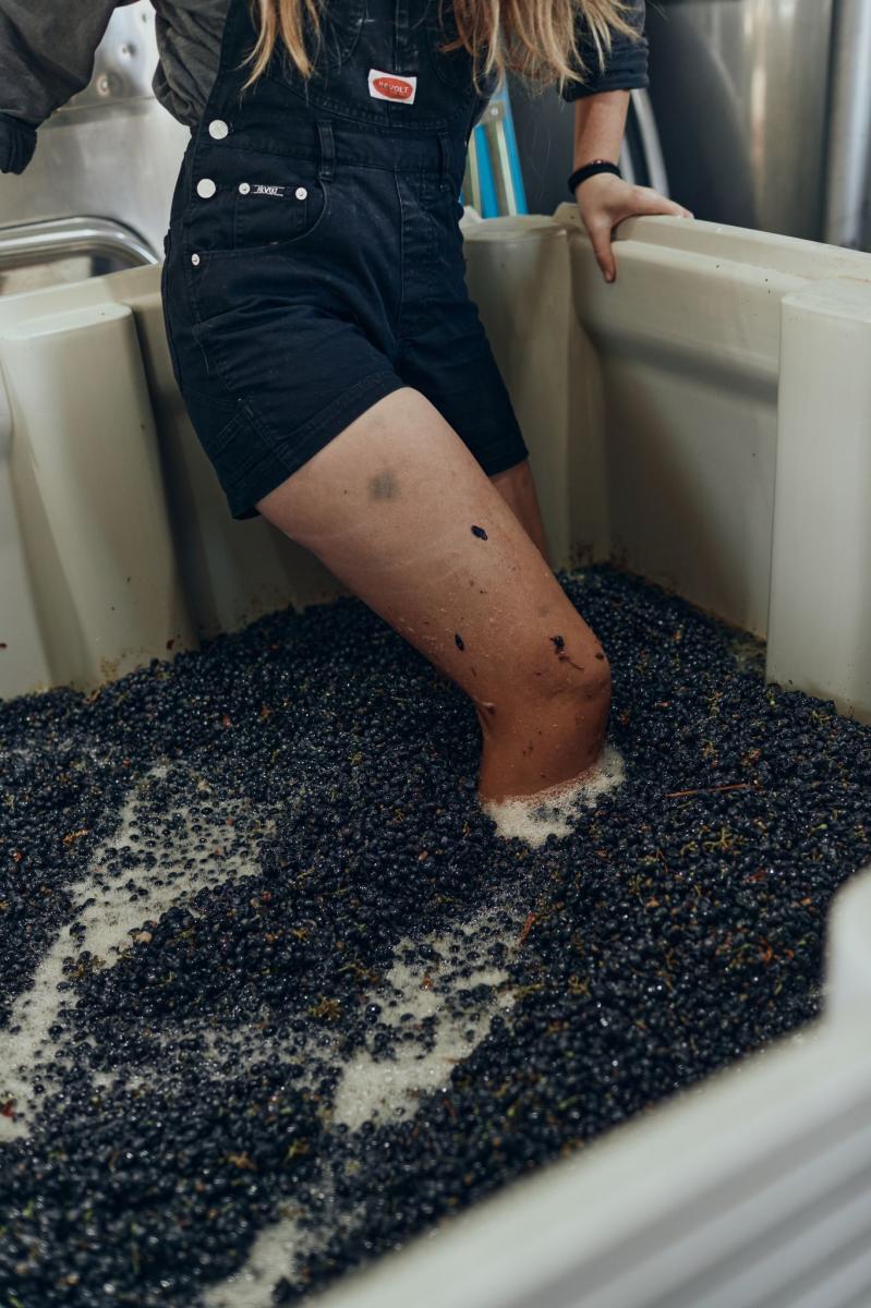Winemaker’s Guide to Celebrating Harvest in Paso Robles