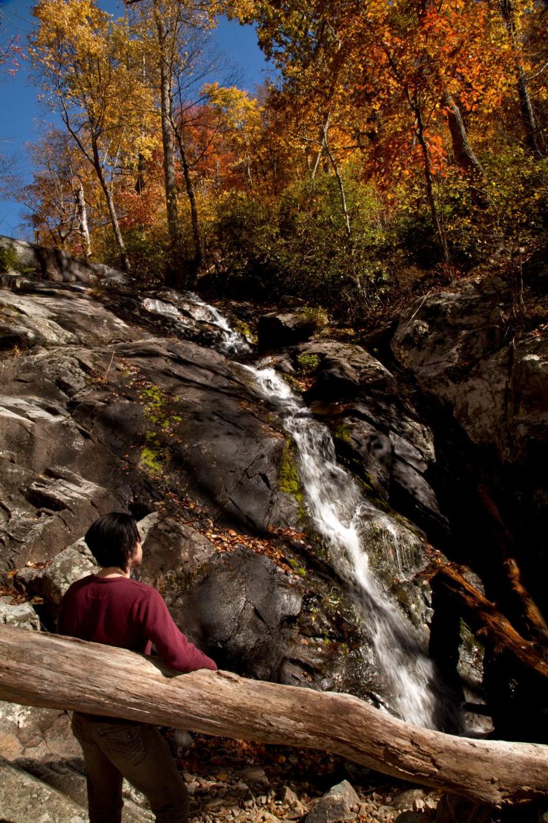 Fallingwater Cascades Hiking Trail