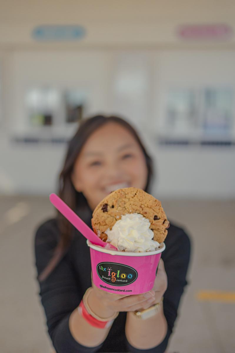 Igloo Frozen Custard Treat