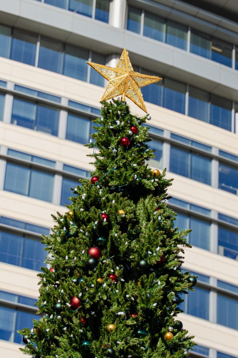 A close-up shot of the gold star topper of the Christmas Tree at Waterway Square. It's daytime, and the tree is decorated with subtle, traditional Christmas decorations: large red ball ornaments and smaller ornaments in green, gold, and silver. The background is filled by the blue windows of an office building.
