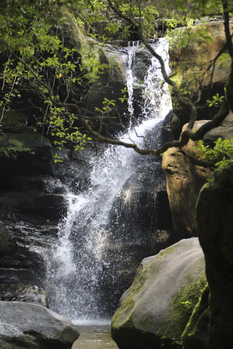 Waterfall at Dismals Canyon