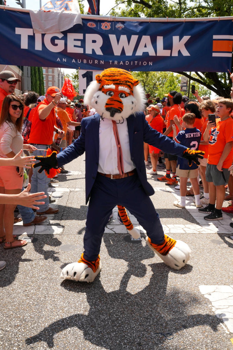 A person in a tiger Mascot costume surrounded by football fans.