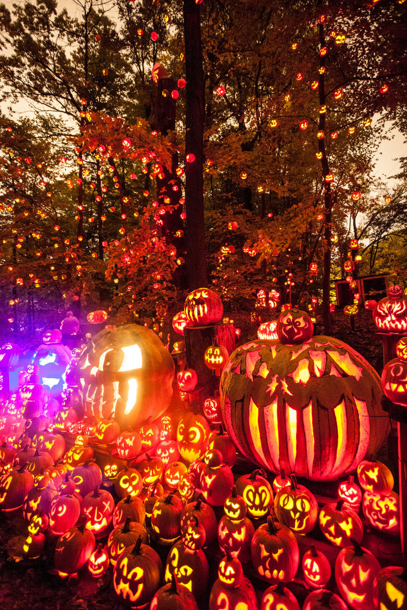 jack o lantern spectacular