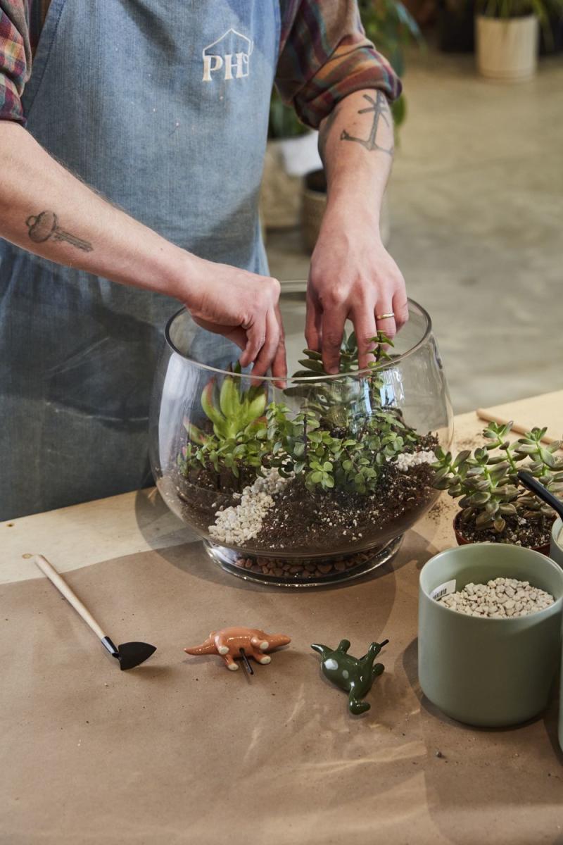 Mason Jar Plant Shop