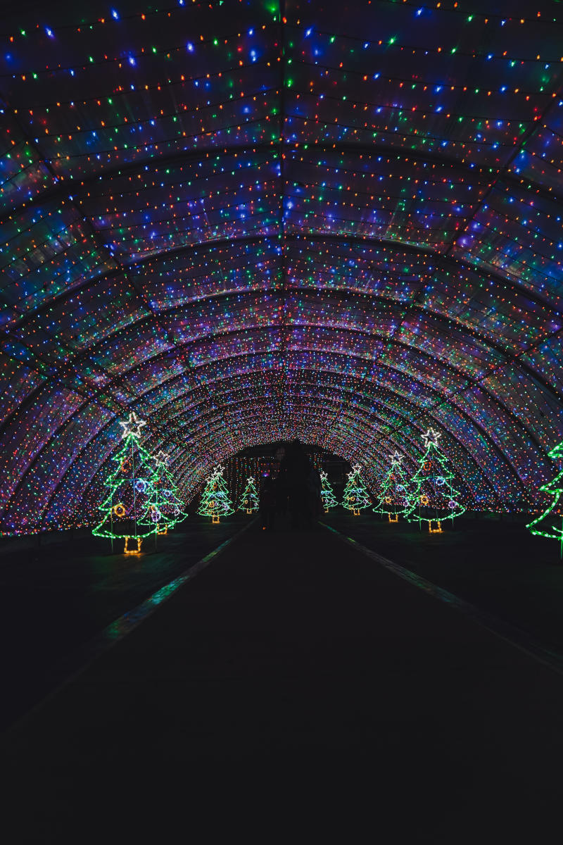 Walk Through the Lights