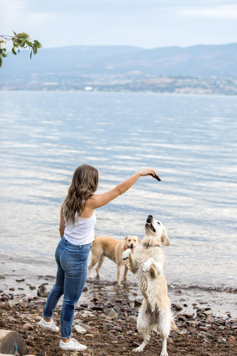 Dogs at Cedar Creek Dog Beach (4)
