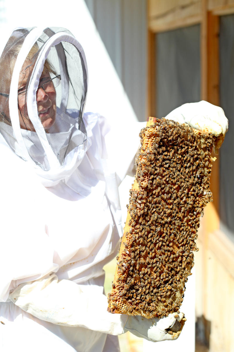 Arlo's Honey Farm