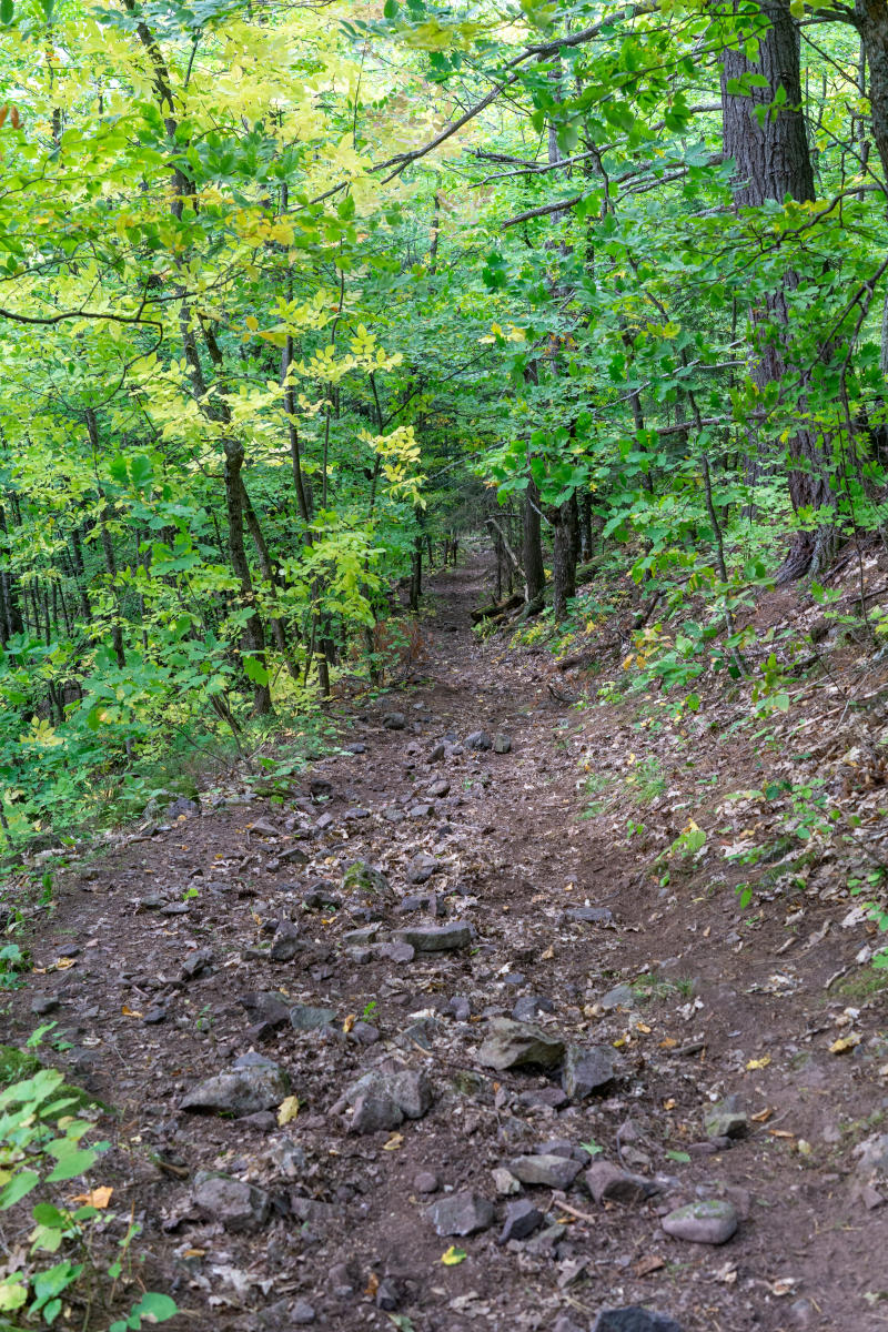 a steep rocky trail descends into a lush forest