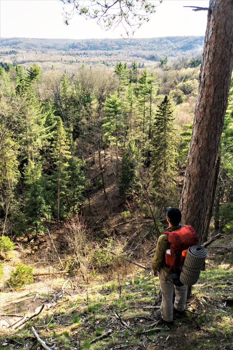 Pine Bluff Scenic Overlook