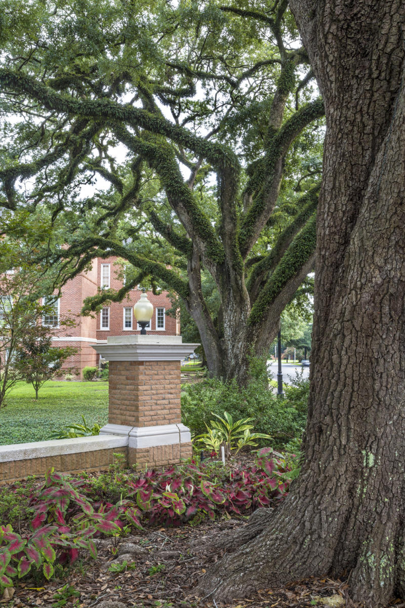 20th Century Oaks