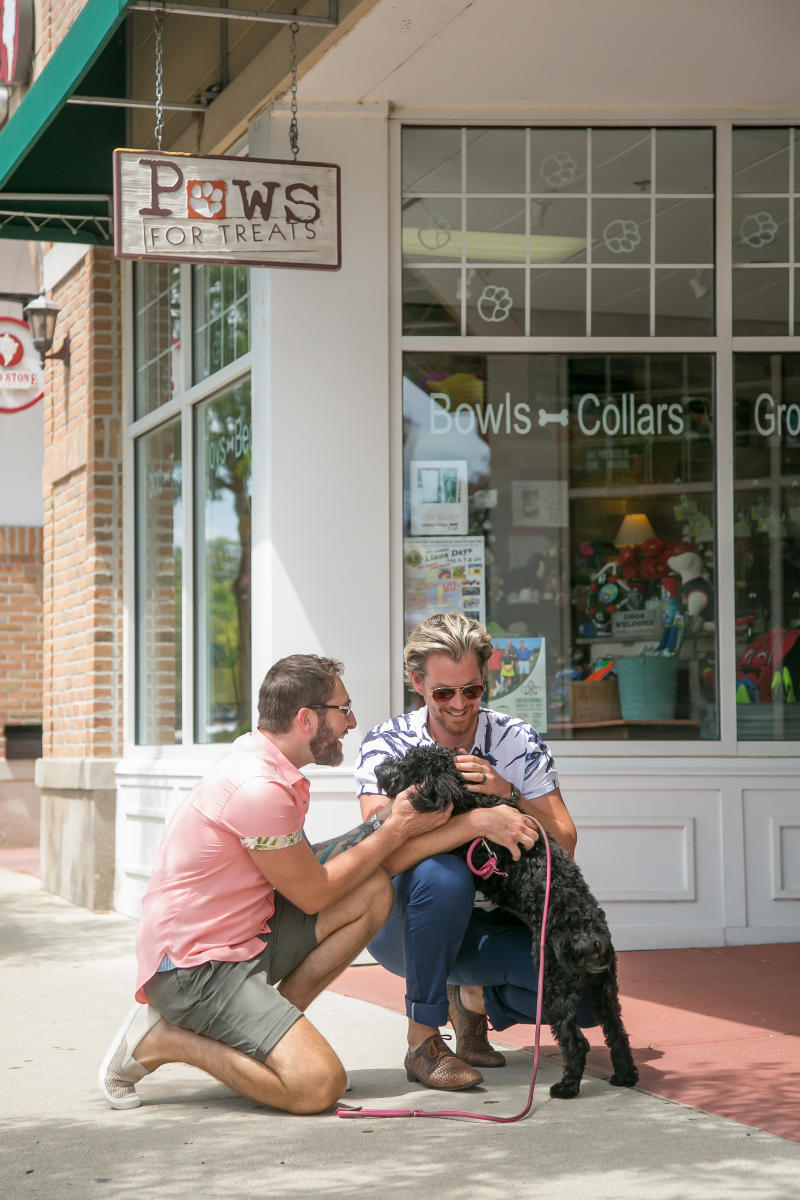 Summer Shopping Dog