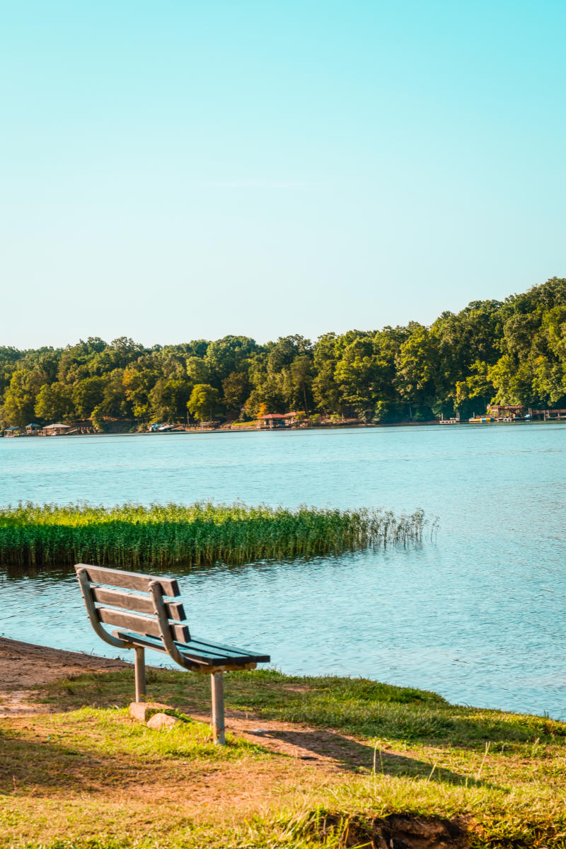 A Bench Facing A Lake At Latta Nature Preserve