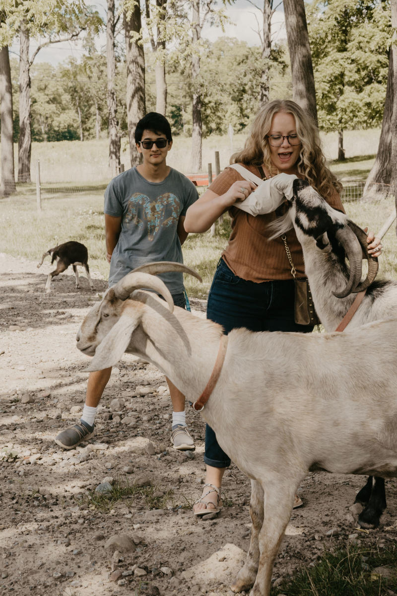 Woman Feeding Goats