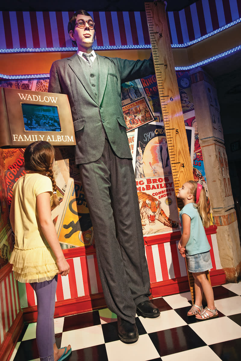 Tall man at Ripleys Believe it or not
