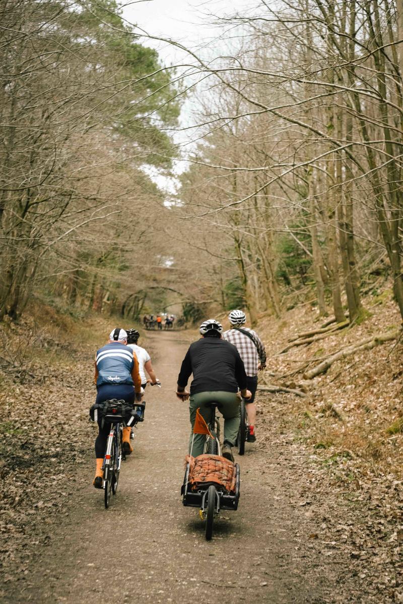 Cyclists along the old railway bike route in the New Forest