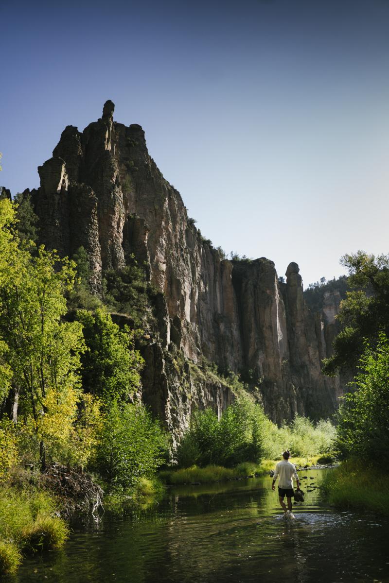 Person walking through a shallow river in the Gila Wilderness with tall, narrow rock formations and lush green trees under a clear sky.