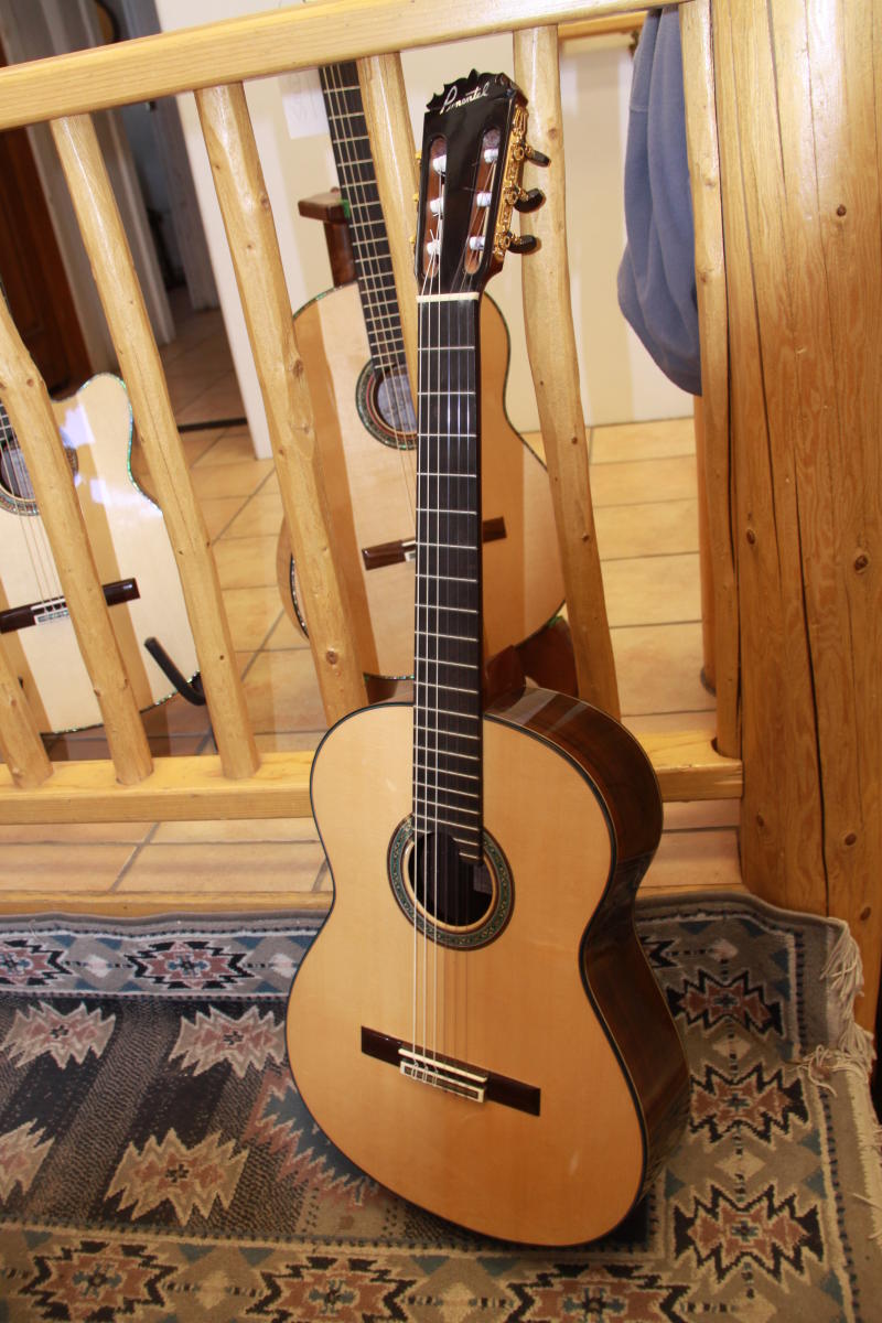 Pimentel Guitar
