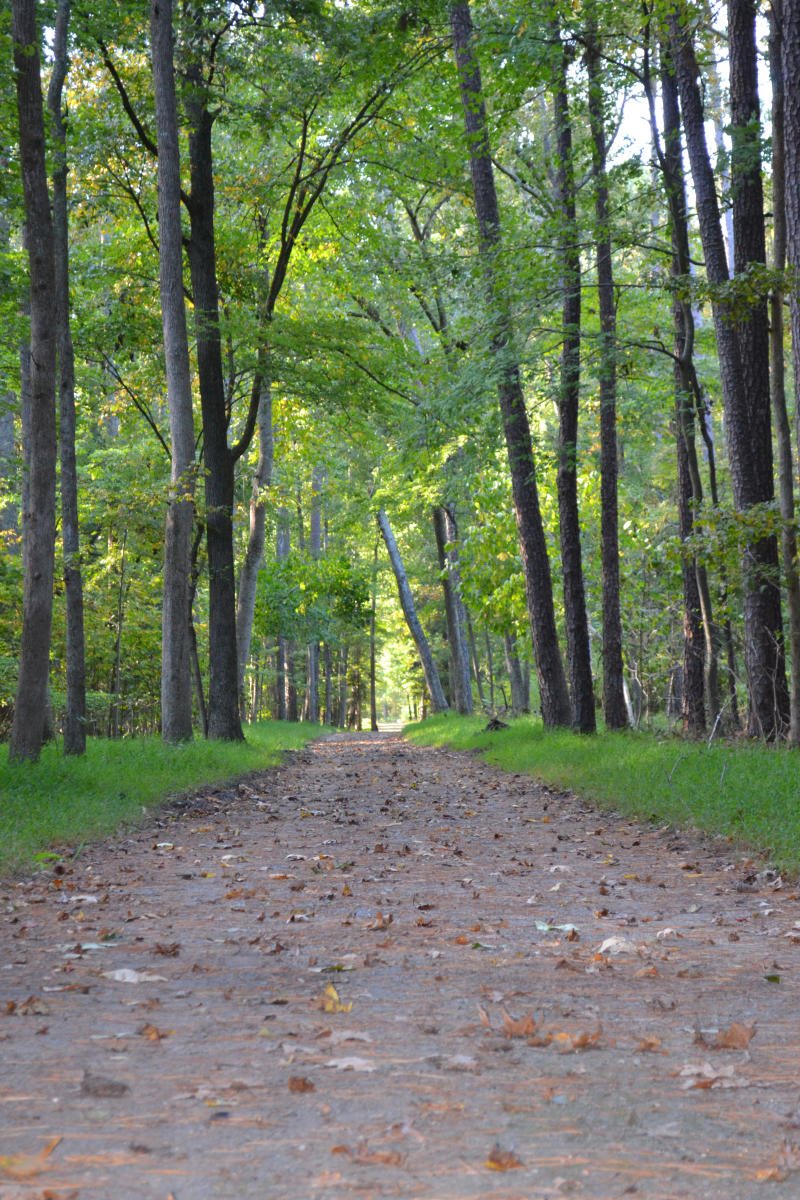 Mother-Nature-in-Newport-News-Park