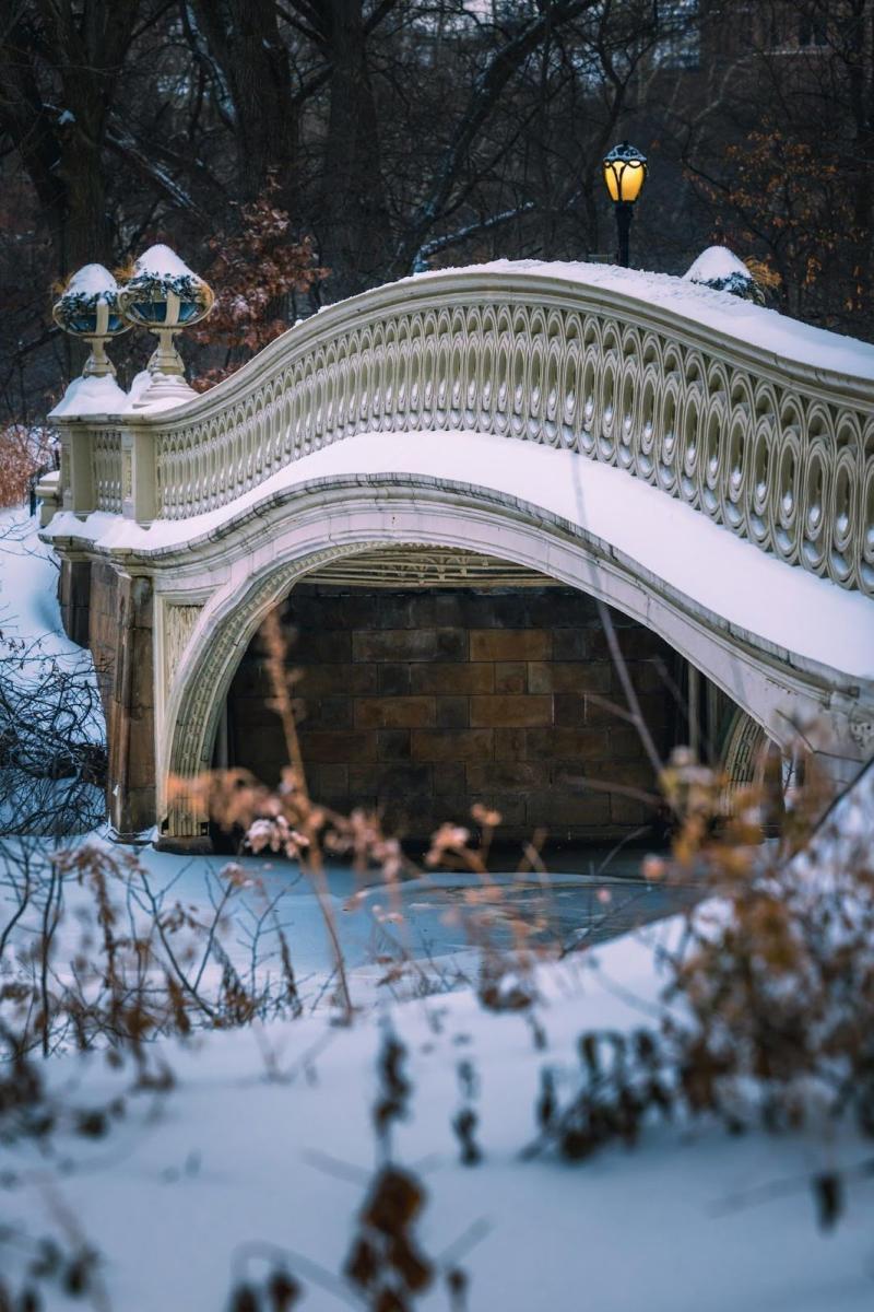 Snow-Covered Central Park Bridge