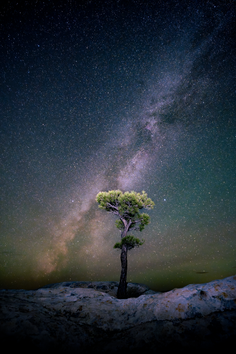 Standing Under the Milky Way, Jory Vander Galien