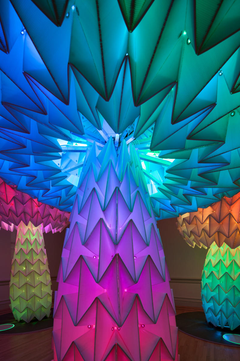 Elaborately folded paper mushrooms that are more than 12 feet high, illuminated with rainbow light, from Burning Man