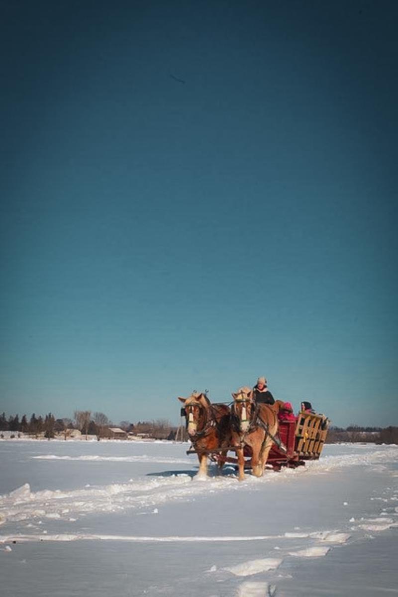 Riverbend Acres wagon ride