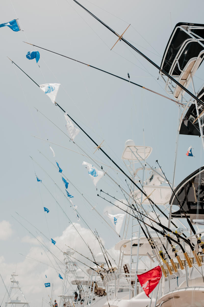 A row of boats fly fish flags