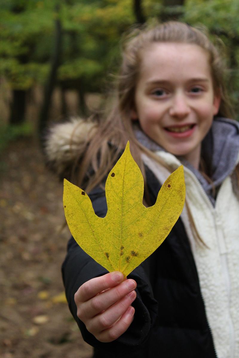 A young girl holds up a yellow leaf