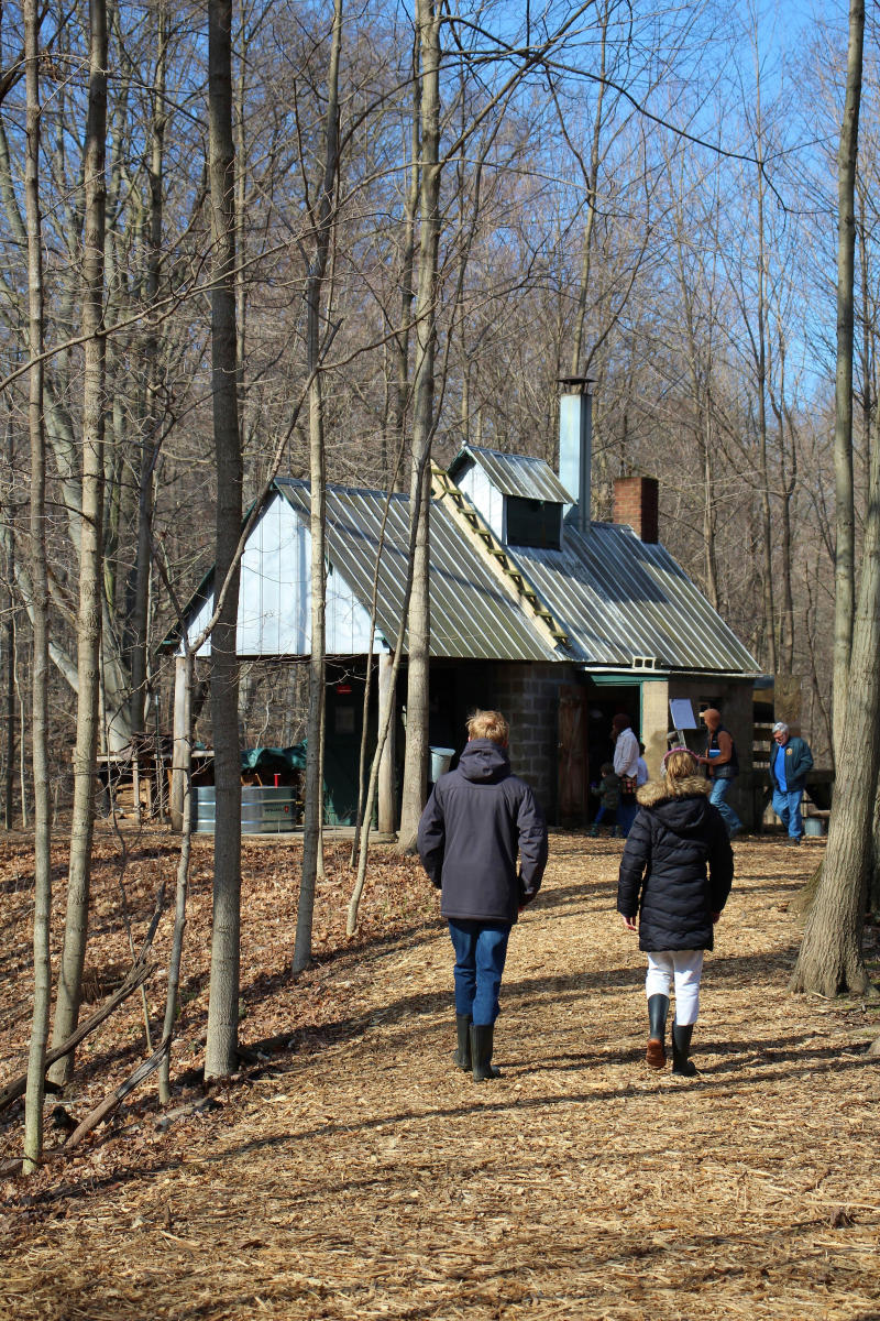 Two people walk down a trail towards a sugar shack building
