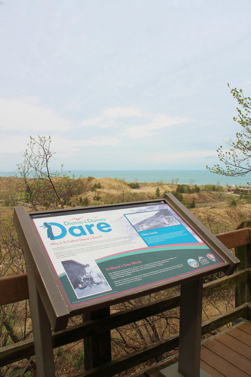 An informational sign about the Diana Dunes Dare sits on a platform. In the background are dunes covered with vegetation and Lake Michigan.