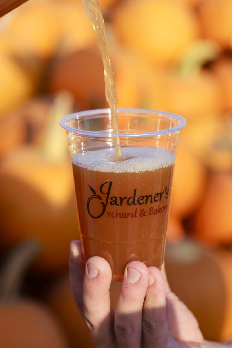 Top Winter Drinks in Springfield: Hot Cocoa, Cider, and Seasonal Cocktails