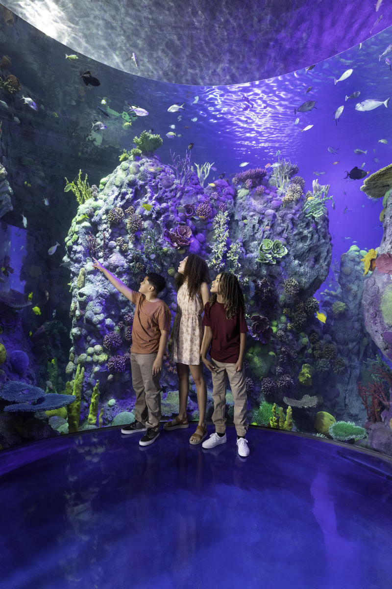 Branson Aquarium