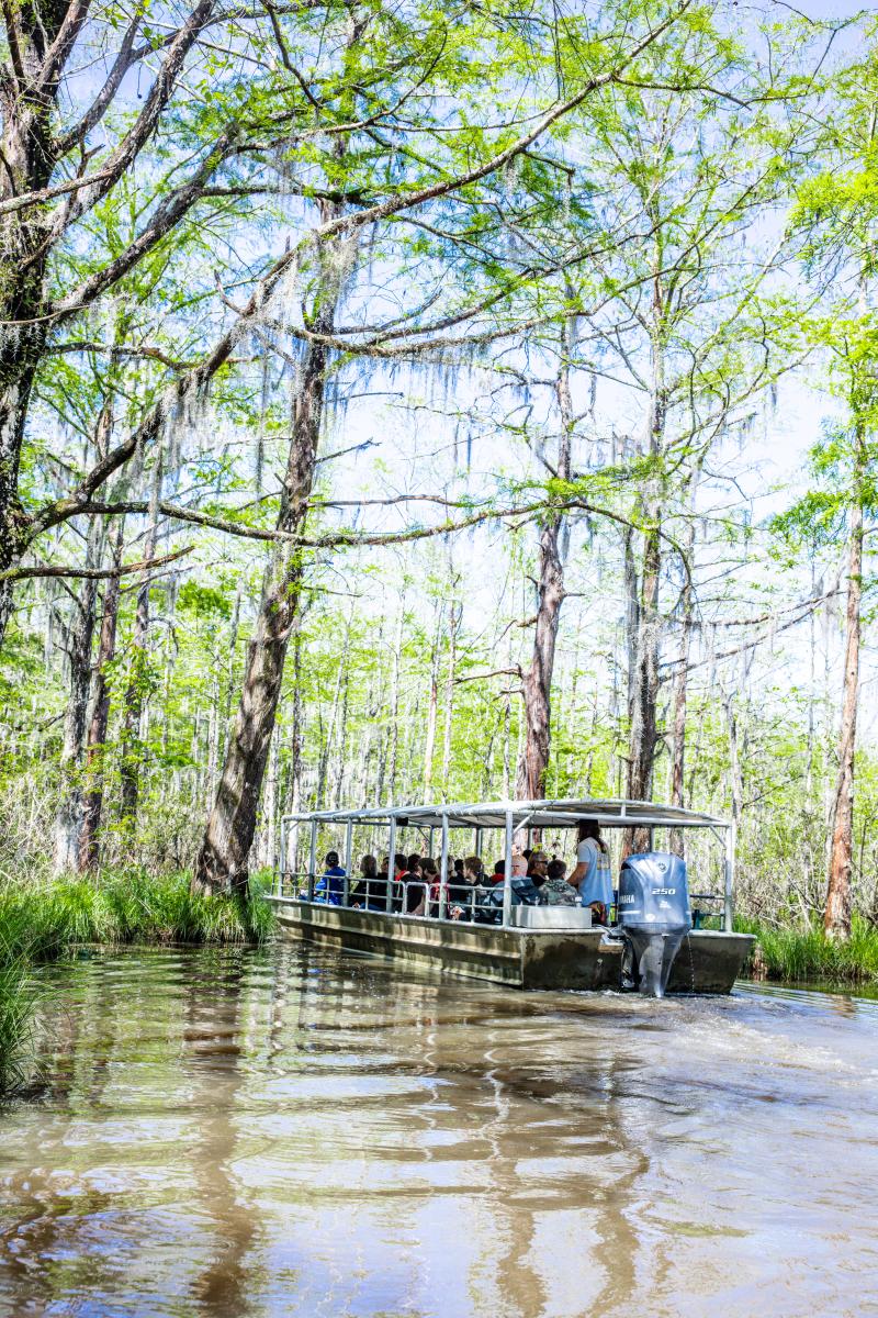 An early spring tour of Honey Island Swamp with Cajun Encounters in Slidell.