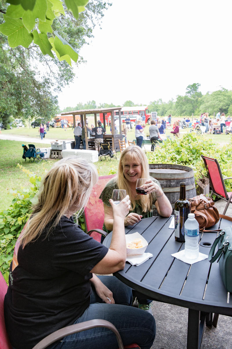 Sample Wild Bush Farm & Vineyard wines at a Jazz'n the Vines concert.