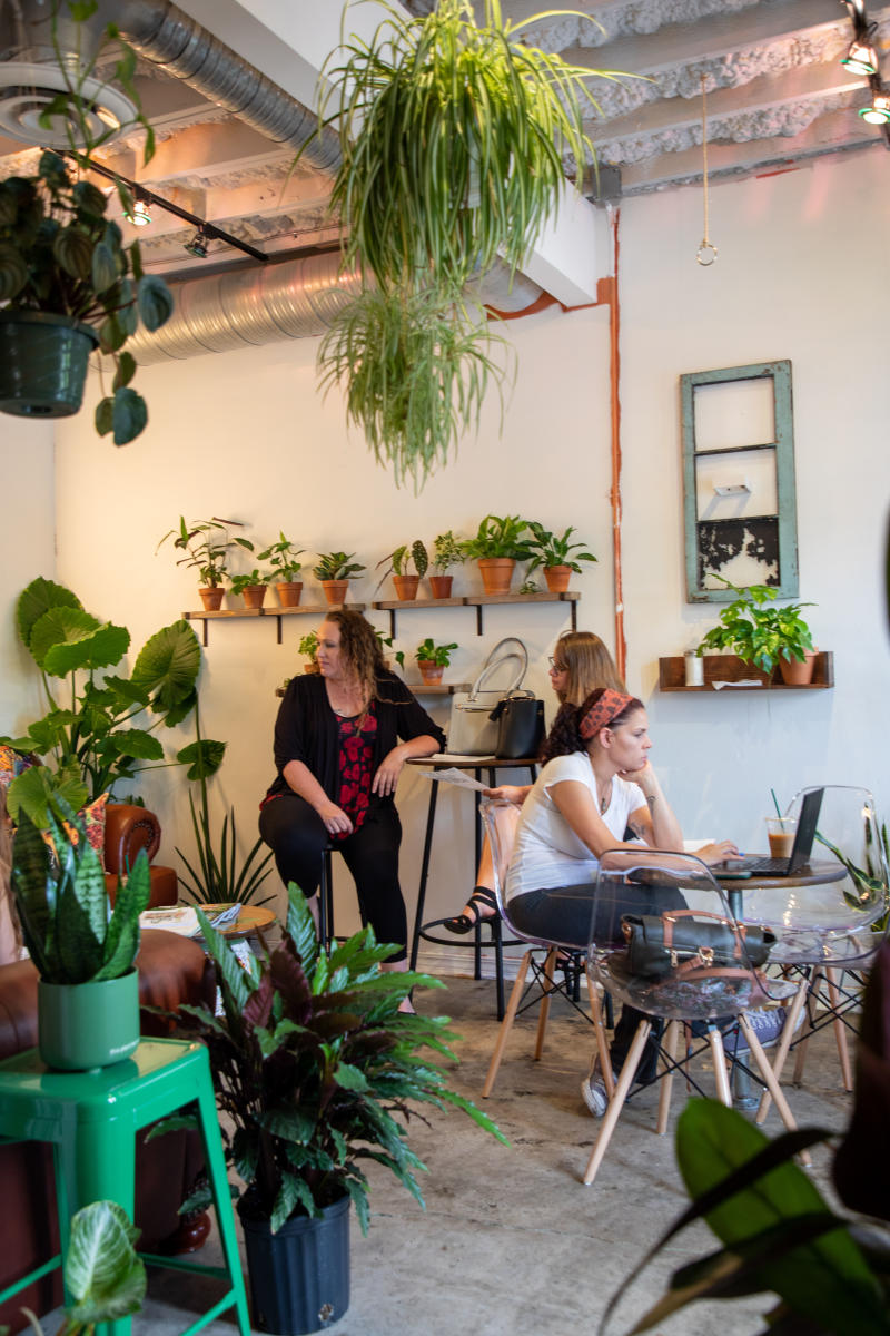 Roots Plants + Coffee in Olde Towne Slidell offers delicious coffees, healthful, light bites and unique plants for sale.