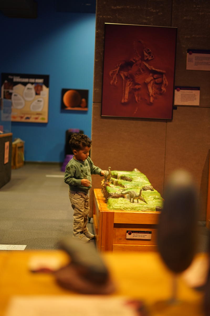 Tiny Titans: Dinosaurs Eggs & Babies Exhibit - Topeka Dino Days | Topeka, KS