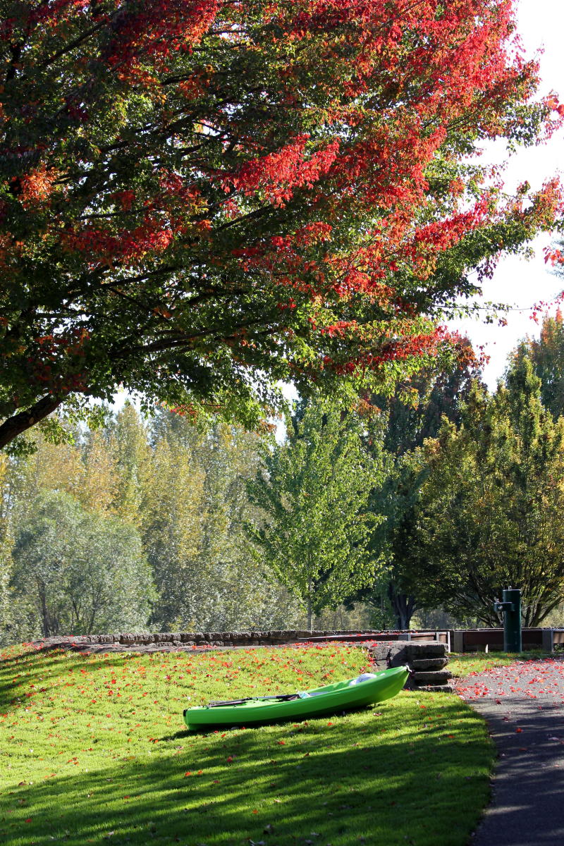 Vancouver Lake Park Fall
