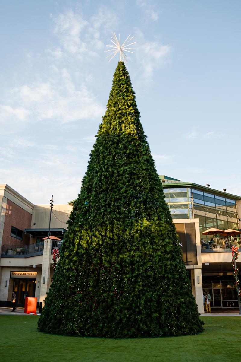 The 40-foot Christmas Tree on the lawn/courtyard at The Woodlands Mall. The sky is still light even as the sun sets behind the tree. Visible shops include Shake Shack, Pottery Barn, and Tempur-Pedic. Various light displays hang from the awning on the left.