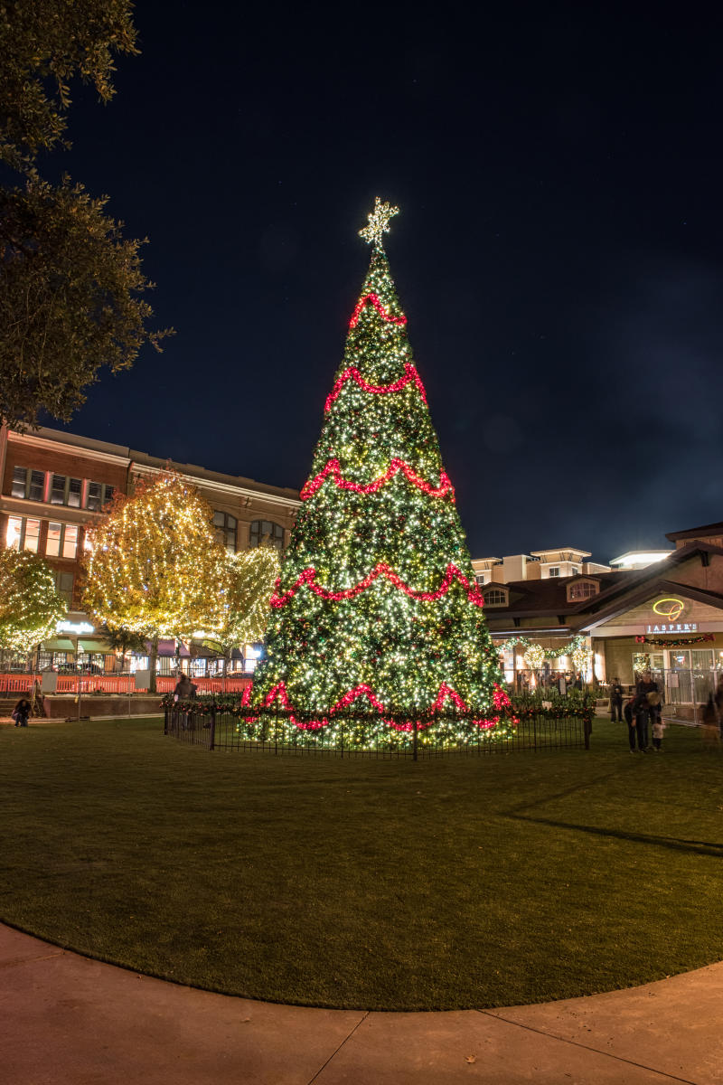 Market Street Christmas Tree at Central Park