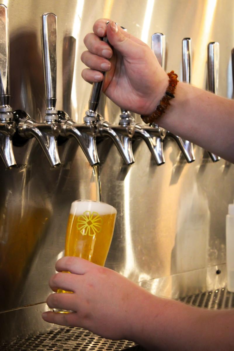 A person pouring a beer from a tap