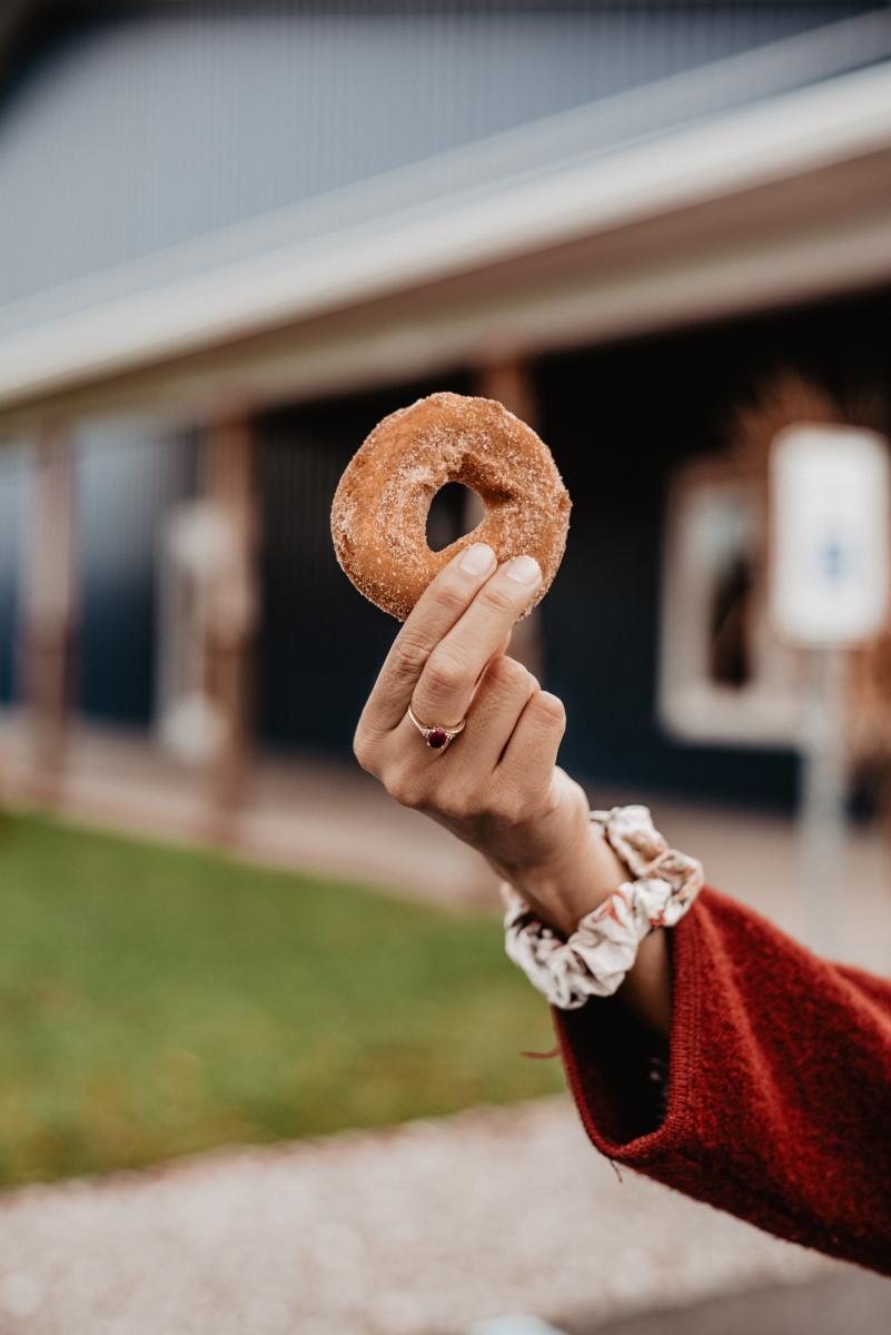Apple Cider Donut